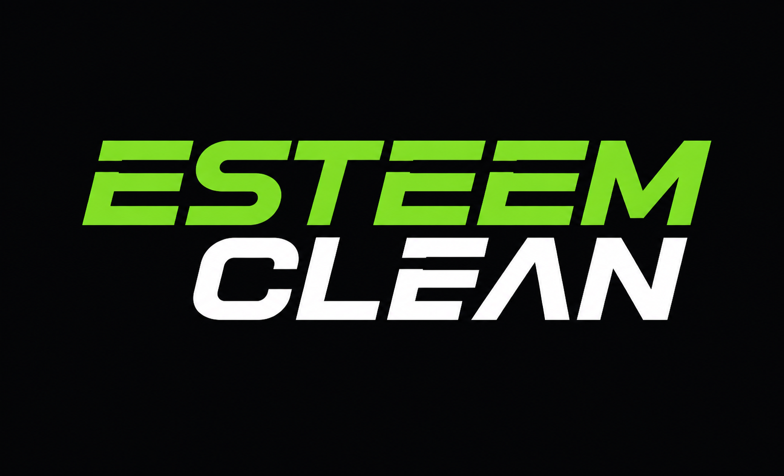 Esteem Clean logo